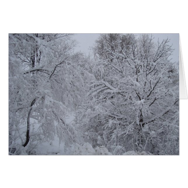 Le pays des merveilles d'hiver (Devant Horizontal)