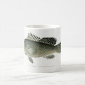 Le pêcheur de bar de mer Mug (Centre)
