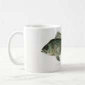 Le pêcheur de bar de mer Mug (Gauche)