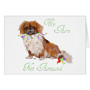 Le pékingais n'est pas amusé