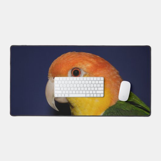 Le perroquet caïque coloré (Clavier et souris)