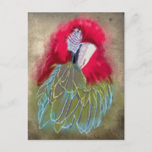 Le perroquet - Carte postale (Devant)