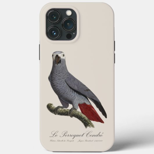 Le Perroquet Cendre - 19de-eeuwse illustratie Case-Mate iPhone Case (Achterkant)