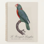 Le Perroquet Langlois de Jacques Barraband (Devant)