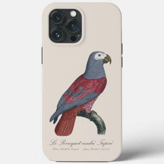 Le Perroquet midden Tapire Case-Mate iPhone Case (Achterkant)