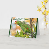 Le perroquet sauvage obtiennent la carte bonne (Fleur jaune)