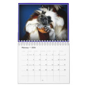 Le petit animal sauvage fait face au calendrier (Feb 2026)