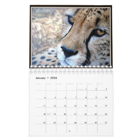 Le petit animal sauvage fait face au calendrier (Jan 2026)