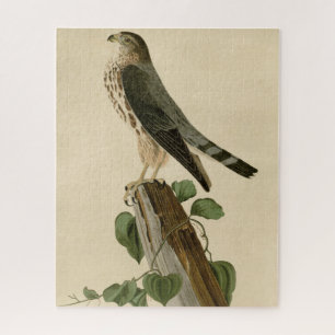 Le Petit Caporal (Merlin) Audubon Birds of America Legpuzzel