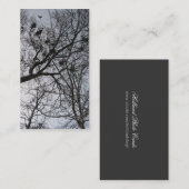 Le petit carte photo de corneilles (Devant / Derrière)