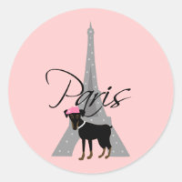 Le petit chien à Paris