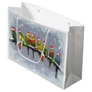 Le petit sac de cadeau de Carollers