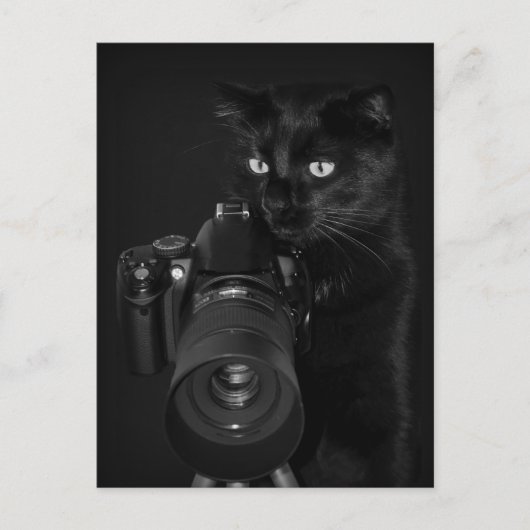 Le photographe - Carte postale (Devant)