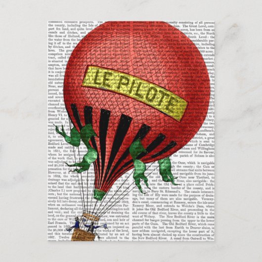 Le Pilote Hot Air Ballon 2 Briefkaart (Voorkant)