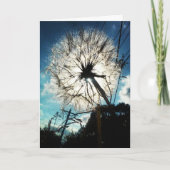 "Le pissenlit au soleil" Carte d'anniversaire (Devant)