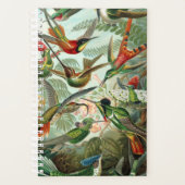 Le planificateur Hummingbirds de Haeckel (Devant)