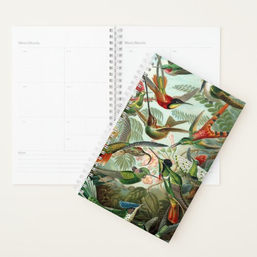 Le planificateur Hummingbirds de Haeckel (Devant avec enveloppe)