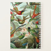 Le planificateur Hummingbirds de Haeckel (Dos)