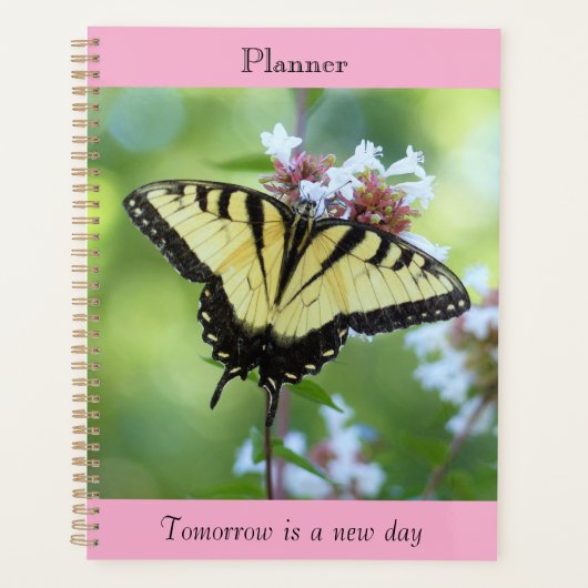 Le Planificateur Papillon Géant (Devant)