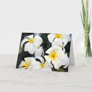 Le Plumeria d'Hawaï fleurit la carte de voeux