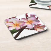 Le Plumeria fleurit des dessous de verre de liège (Côté gauche)