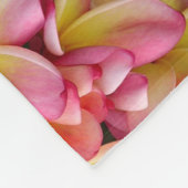 Le Plumeria rose et jaune fleurit la couverture (Coin)