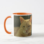 "Le plus lisse. Gingembre. Jamais." tasse de chat (Gauche)