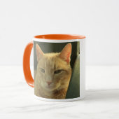 "Le plus lisse. Gingembre. Jamais." tasse de chat (Devant gauche)