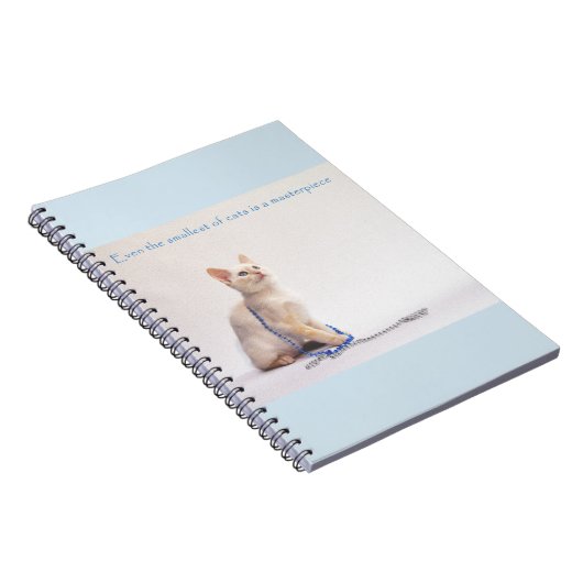 Le plus petit du carnet de chats : Farrah (Côté Droit)