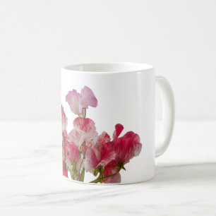 Le pois doux fleurit la tasse