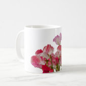 Le pois doux fleurit la tasse (Devant gauche)