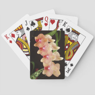 Le pont parfait des orchidées de cartes à jouer