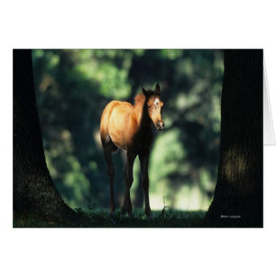 Le poulain arabe dans les arbres