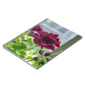 Le pourpre fleurit le carnet (Côté gauche)