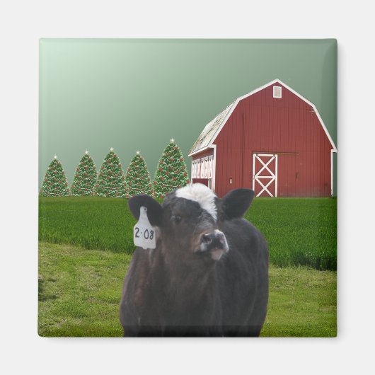 Le premier aimant de Noël d'un veau (Devant)