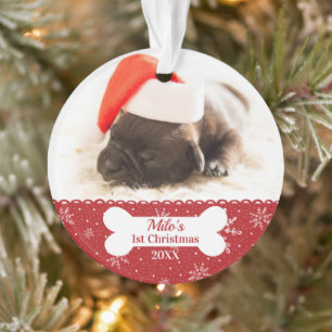 Le premier os photo simple de Noël du chien