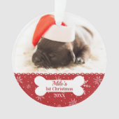 Le premier os photo simple de Noël du chien (devant)