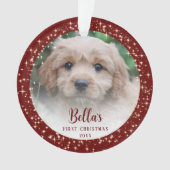 Le premier rouge de Noël du chiot (devant)