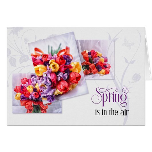 Le printemps des Tulipes de Pâques est dans les Bo (Devant horizontal)