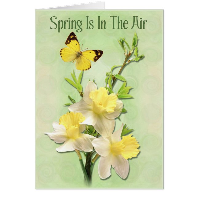 Le Printemps Est Dans L'Air (Devant)