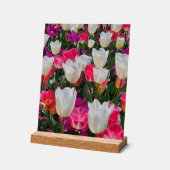 Le printemps est en fleurs (Angle)