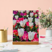 Le printemps est en fleurs (Mariage)