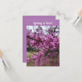 Le printemps est là ! Carte de voeux (Devant/Arrière en situation)