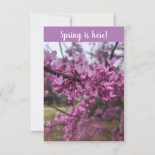 Le printemps est là ! carte de voeux