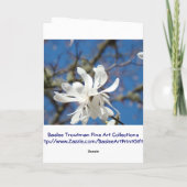 Le printemps est là ! Cartes de voeux Arbre Magnol (Dos)