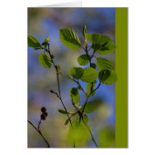 Le printemps vient à lui seul CC0843 Zen proverbe (Devant)