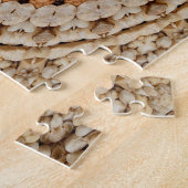 Le puzzle d'Alexandria Rocks (Côté)