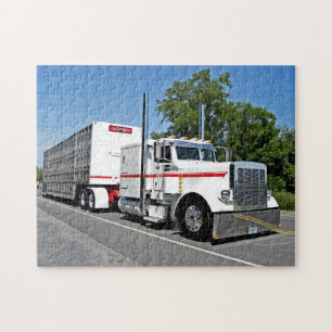 Le puzzle de Bontrager 379