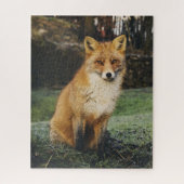 Le Puzzle de Fox (Vertical)