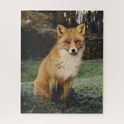 Le Puzzle de Fox (Vertical)